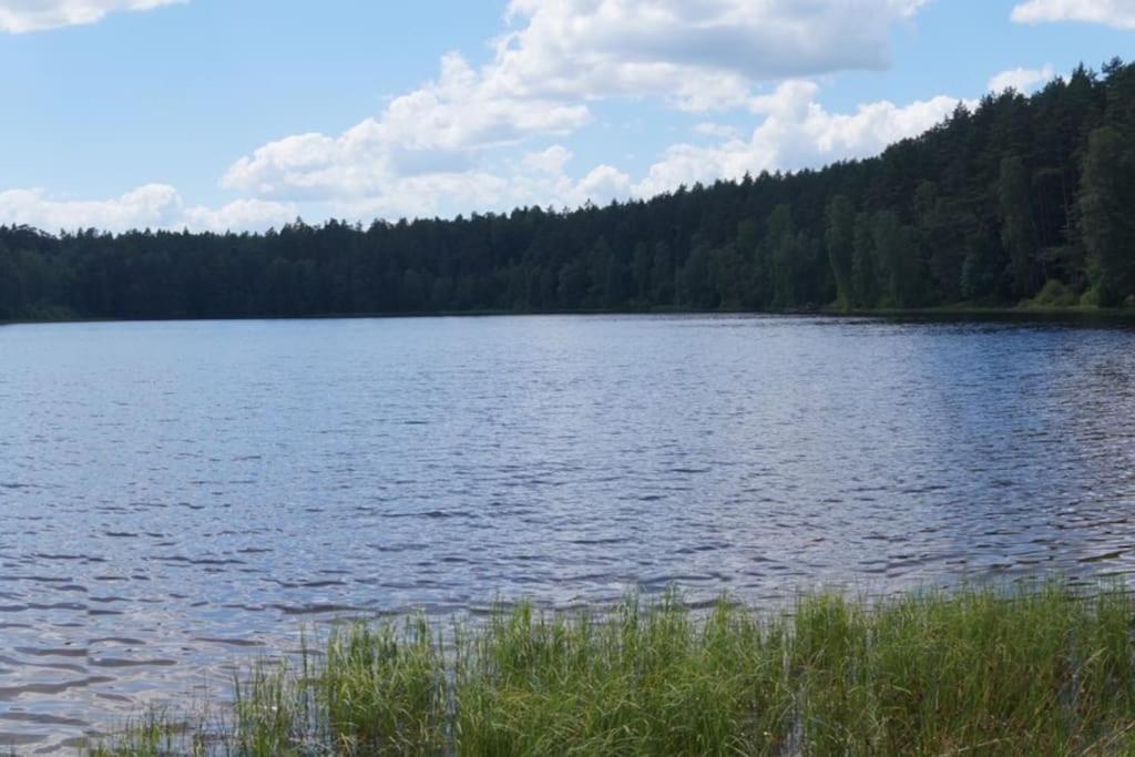 Domek Nad Jeziorem Kaszuby Max 6 Os Bieszkowice Exteriör bild
