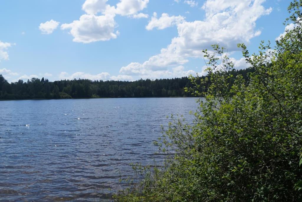 Domek Nad Jeziorem Kaszuby Max 6 Os Bieszkowice Exteriör bild
